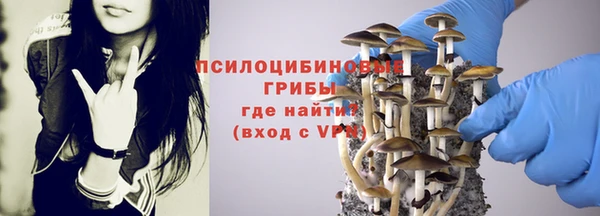 крисы Пересвет