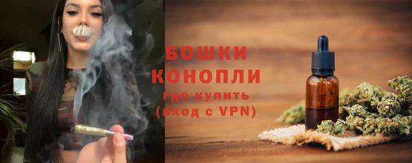 крисы Пересвет